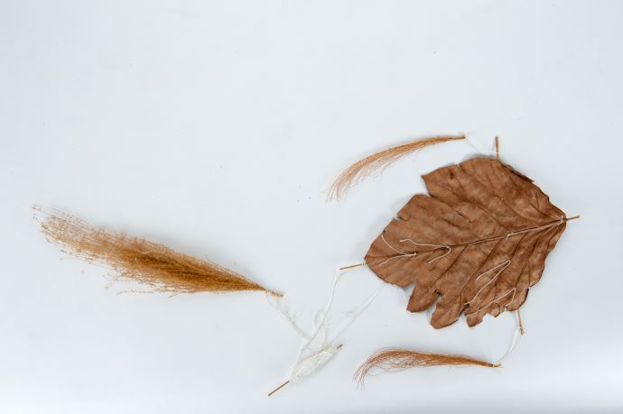 麵包樹樹葉、細繩、竹片、芒草花