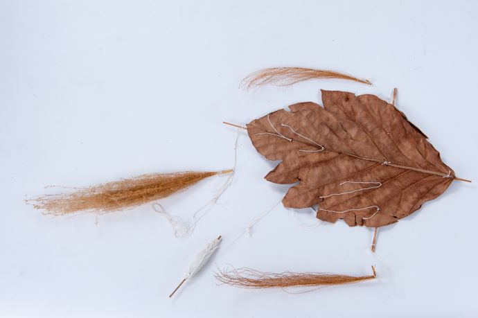 麵包樹樹葉、細繩、竹片、芒草花